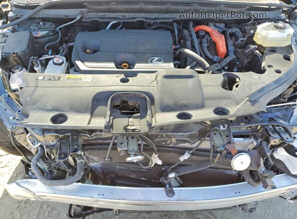 2T2BBMCA9SC091966 2025 LEXUS RX Black Widok naklejki z numerem VIN