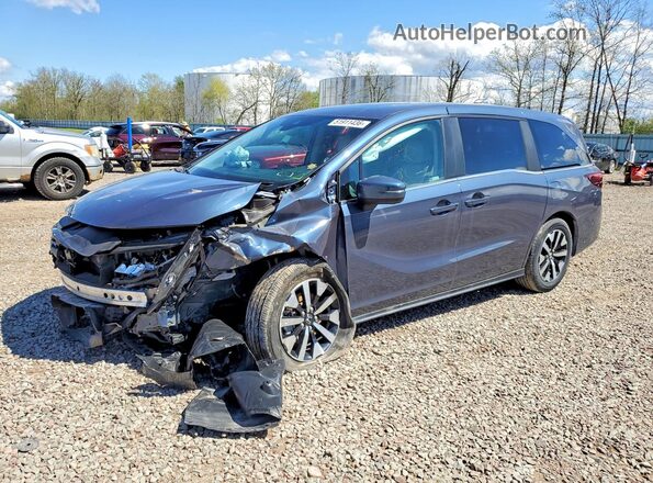 5FNRL6H68TB020772 2026 HONDA ODYSSEY Синий Задняя левая четверть