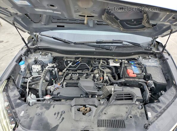 2HKRS4H76SH438697 2025 HONDA CR-V Gray VIN sticker view