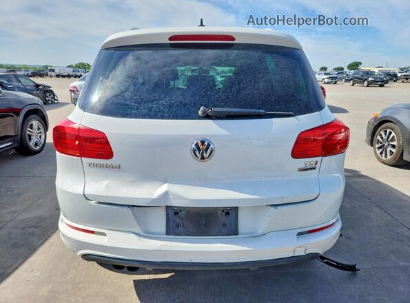 WVGUV7AX5HW507536 2017 VOLKSWAGEN TIGUAN White Vista interior delantera