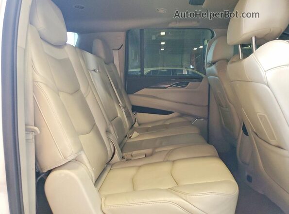 1GYS4JKJ9LR207084 2020 CADILLAC ESCALADE Белый Вид подкапотного пространства