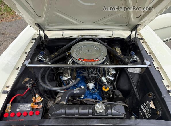 6T07C123865 1966 FORD MUSTANG White Widok z tyłu
