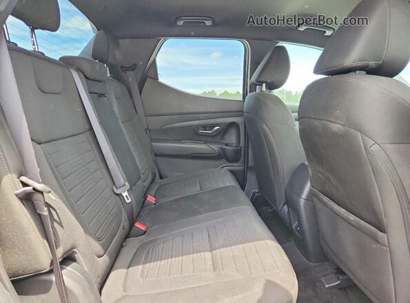 5NTJA4DEXSH149893 2025 HYUNDAI SANTA Черный Вид задней части салона