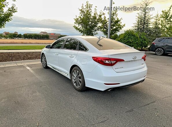 5NPE34AF2HH487725 2017 HYUNDAI SONATA Белый Передняя правая четверть