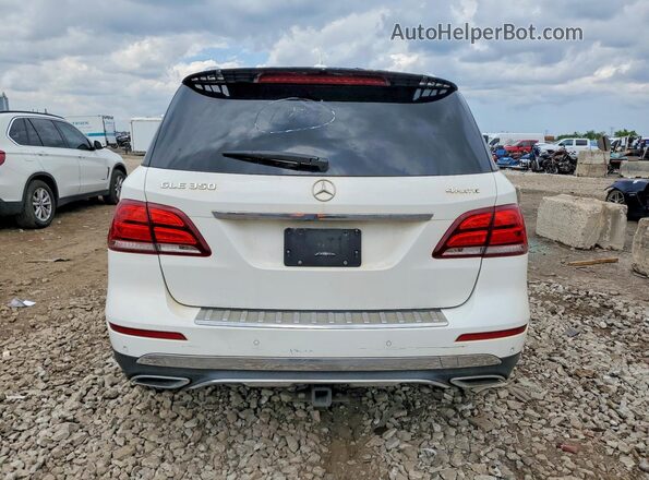 4JGDA5HB1JB181080 2018 MERCEDES-BENZ GLE Белый Вид салона спереди