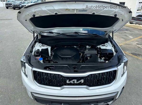 5XYP2DGC8PG353106 2023 KIA TELLURIDE White Widok tylnych siedzeń