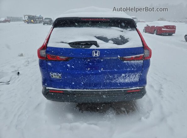 7FARS4H45PE009082 2023 HONDA CR-V Blue უკანა ხედი