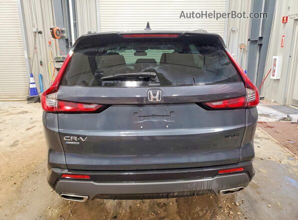 7FARS6H52SE061248 2025 HONDA CR-V Серый Вид сзади