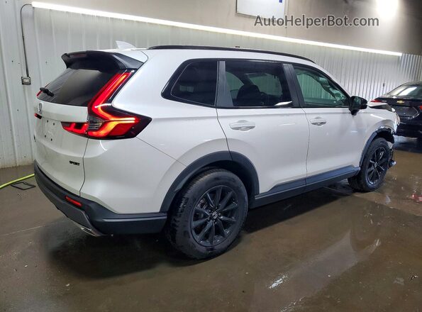 7FARS6H80TE036053 2026 HONDA CR-V White Tył prawy