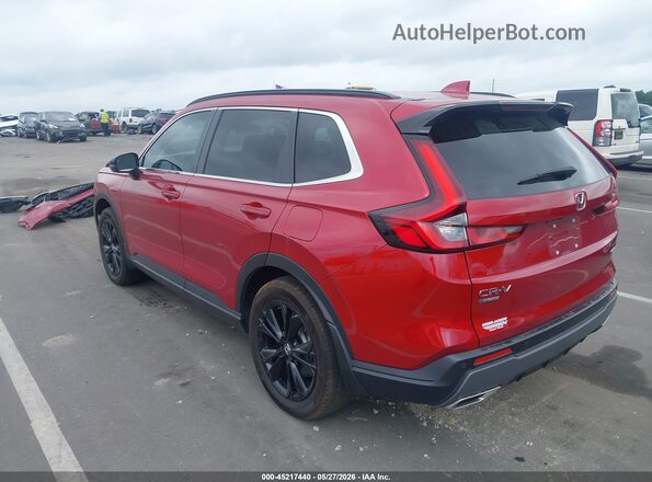 7FARS6H97PE006062 2023 HONDA CR-V HYBRID Red Հետևի ձախ