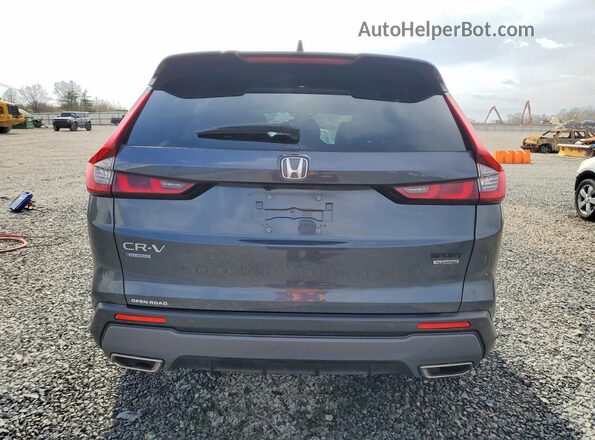 7FARS6H9XPE010851 2023 HONDA CR-V Синий Вид сзади