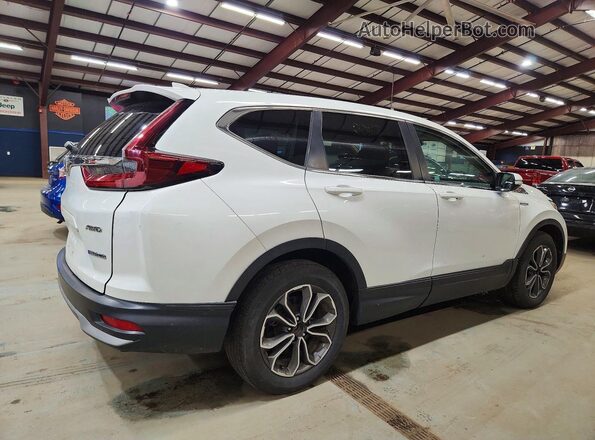 7FART6H54ME027960 2021 HONDA CR-V Белый Задняя правая четверть