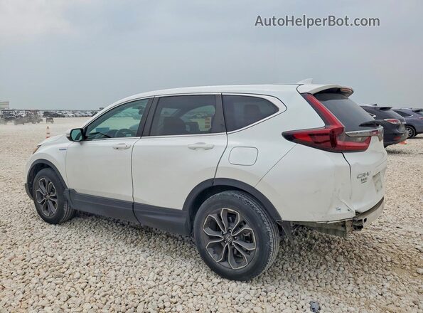 7FART6H5XME031639 2021 HONDA CR-V Белый Задняя левая четверть