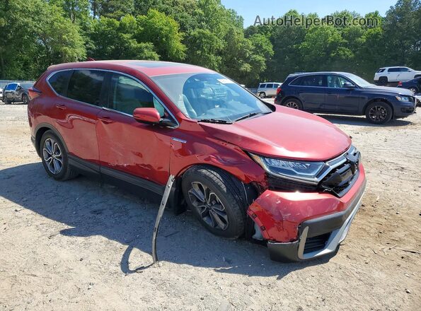 7FART6H81LE015693 2020 HONDA CR-V Burgundy Delantero derecho