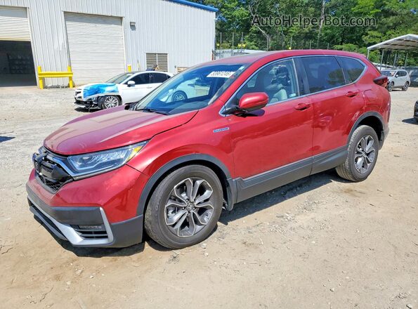 7FART6H81LE015693 2020 HONDA CR-V Burgundy Vista tres cuartos delantera izquierda