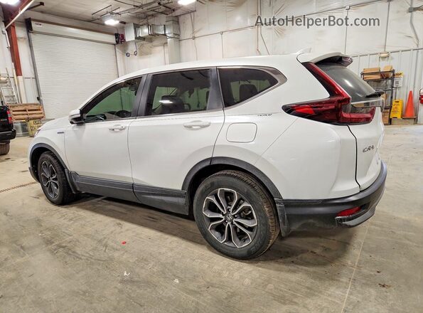 7FART6H89LE019071 2020 HONDA CR-V White Rear left