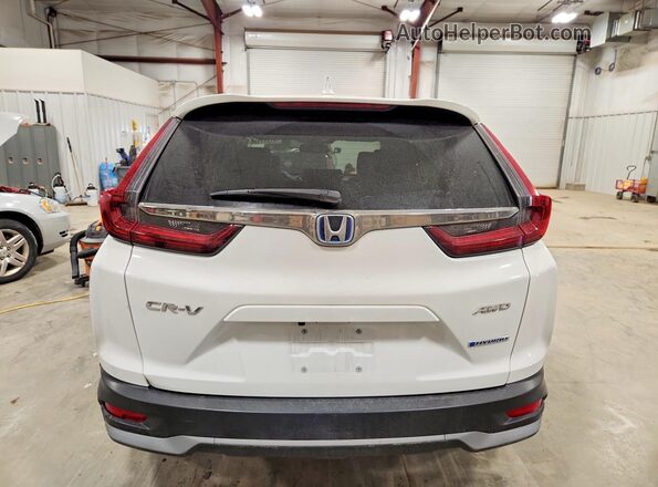7FART6H89LE019071 2020 HONDA CR-V White Rear view
