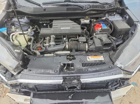 7FARW2H58LE012912 2020 HONDA CR-V Blue Widok wnętrza z tyłu