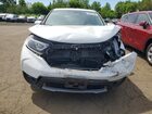 2019 Honda Cr-v Exl White vin: 7FARW2H8XKE059254