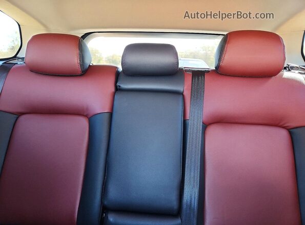 7MMVABAM9RN219720 2024 MAZDA CX-5 Red უკანა სავარძლების ხედი