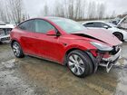 2024 Tesla Model Y Red vin: 7SAYGAEE1RF001992