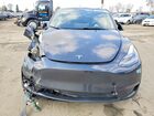 2025 Tesla Model Y Gray vin: 7SAYGAEE1SF302445
