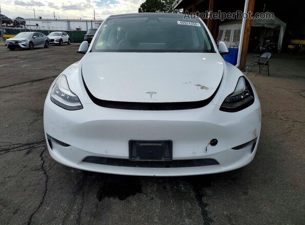 7SAYGAEE5NF338174 2022 TESLA MODEL Белый Вид спереди