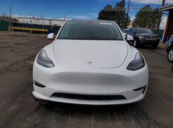 7SAYGAEE6RF191837 2024 TESLA MODEL Белый Вид спереди