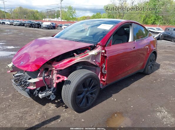 7SAYGAEE8RF184078 2024 TESLA MODEL Y Red Widok z przodu