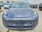 2023 Tesla Model Y Gray vin: 7SAYGAEE9PF865251