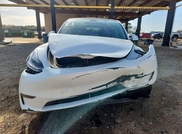 7SAYGAEEXPF598556 2023 TESLA MODEL Белый Вид спереди