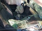 2023 Tesla Model Y Blue vin: 7SAYGDED2PF966690