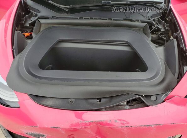 7SAYGDED5RF009814 2024 TESLA MODEL Pink Rear interior view