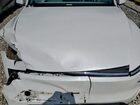 2026 Tesla Model Y White vin: 7SAYGDED6TA583763