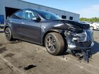 2025 Tesla Model Y Black vin: 7SAYGDED8SF241748