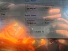 2023 Tesla Model Y White vin: 7SAYGDEE0PA077764