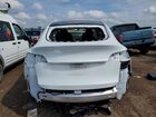 2023 Tesla Model Y White vin: 7SAYGDEE0PA138949