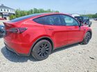2023 Tesla Model Y Red vin: 7SAYGDEE0PA173426