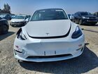 2023 Tesla Model Y White vin: 7SAYGDEE0PF855158