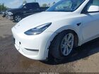 2023 Tesla Model Y   White vin: 7SAYGDEE1PA090071