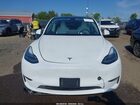 2023 Tesla Model Y   White vin: 7SAYGDEE1PA090071