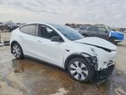 2023 Tesla Model Y White vin: 7SAYGDEE1PA131296