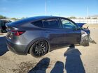 2023 Tesla Model Y Gray vin: 7SAYGDEE1PF905498
