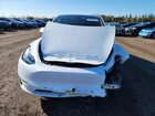 2023 Tesla Model Y White vin: 7SAYGDEE2PF584376
