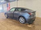 2023 Tesla Model Y Угольный vin: 7SAYGDEE2PF610247