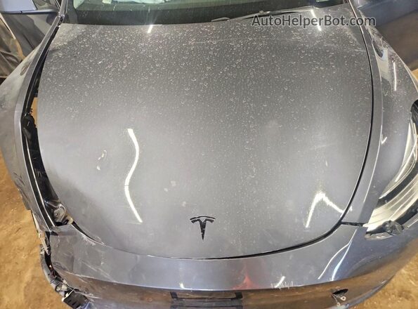 7SAYGDEE2PF610247 2023 TESLA MODEL Угольный Вид задней части салона