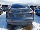 2023 Tesla Model Y Серый vin: 7SAYGDEE2PF775120