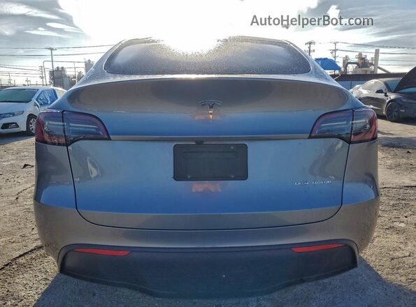 7SAYGDEE2SF279176 2025 TESLA MODEL Серый Вид сзади