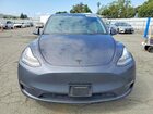 2022 Tesla Model Y Gray vin: 7SAYGDEE3NF402469