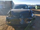 2023 Tesla Model Y Черный vin: 7SAYGDEE3PA184632